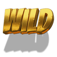 Wild Symbol