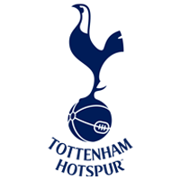 Tottenham Hotspur Banner